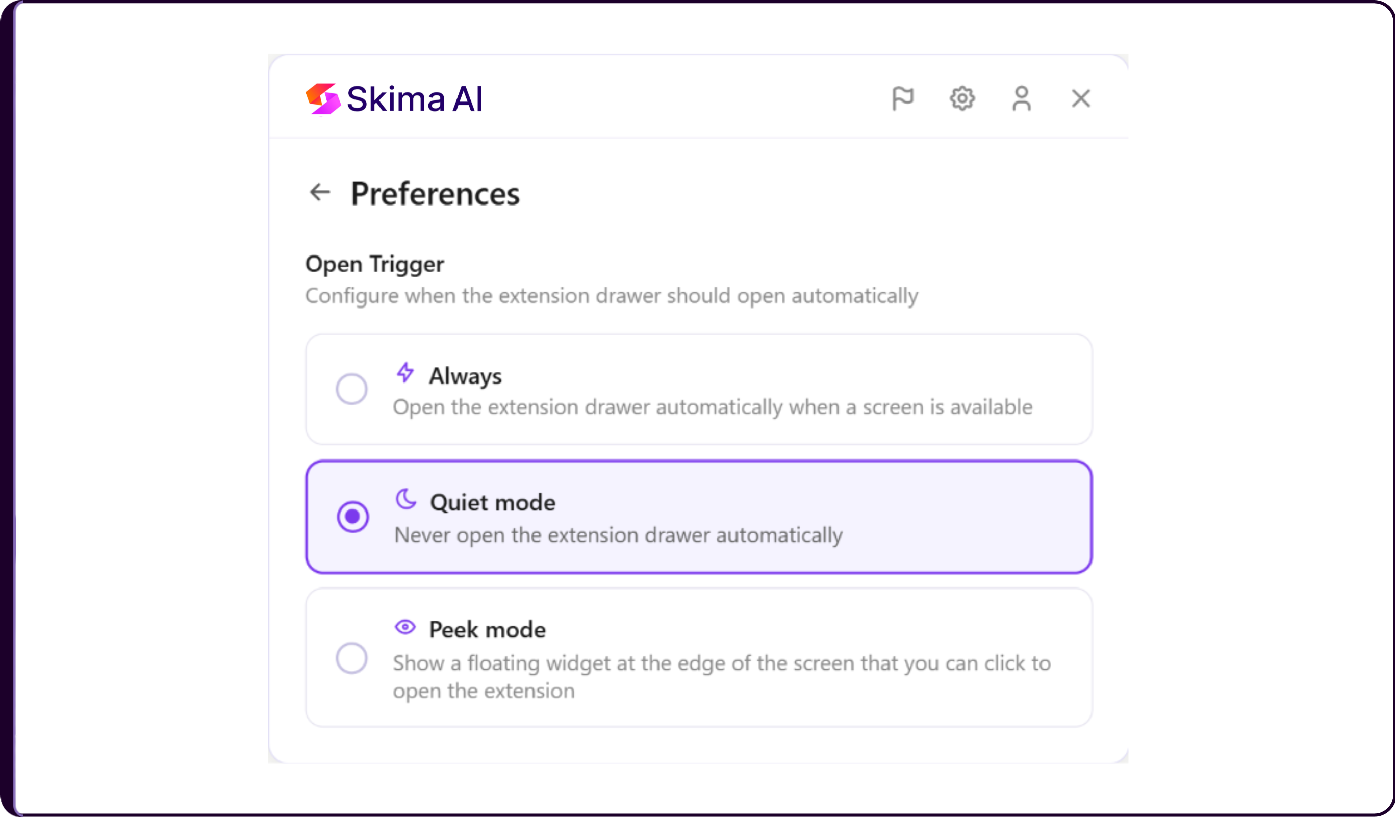 Skima AI Chrome Extension Preferences settings for configuring extension behaviour
