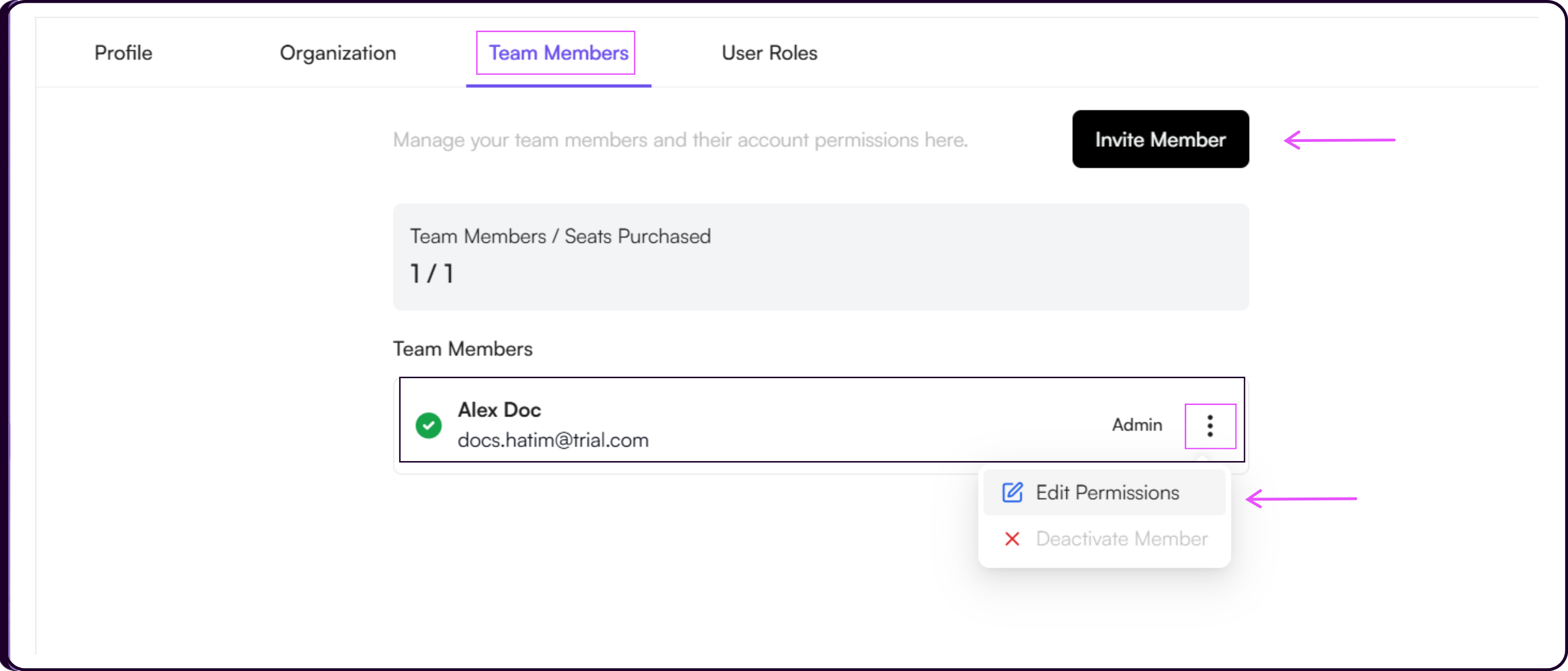 Team Members settings showing workspace seat usage summary and team members table with roles and access levels